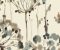 wallpaper-close-shot-asian-paints-CN2100 wallpaper-close-shot-asian-paints-CN2100