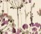 wallpaper-close-shot-asian-paints-CN2101 wallpaper-close-shot-asian-paints-CN2101