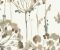 wallpaper-close-shot-asian-paints-CN2103 wallpaper-close-shot-asian-paints-CN2103