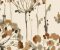 wallpaper-close-shot-asian-paints-CN2105 wallpaper-close-shot-asian-paints-CN2105