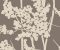 wallpaper-close-shot-asian-paints-CN2156 wallpaper-close-shot-asian-paints-CN2156