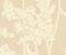 wallpaper-close-shot-asian-paints-CN2158 wallpaper-close-shot-asian-paints-CN2158
