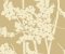 wallpaper-close-shot-asian-paints-CN2159 wallpaper-close-shot-asian-paints-CN2159