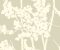 wallpaper-close-shot-asian-paints-CN2160 wallpaper-close-shot-asian-paints-CN2160