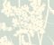 wallpaper-close-shot-asian-paints-CN2161 wallpaper-close-shot-asian-paints-CN2161