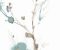 wallpaper-close-shot-asian-paints-CP1205 wallpaper-close-shot-asian-paints-CP1205