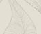 wallpaper-close-shot-asian-paints-CP1224 wallpaper-close-shot-asian-paints-CP1224