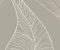 wallpaper-close-shot-asian-paints-CP1225 wallpaper-close-shot-asian-paints-CP1225