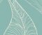 wallpaper-close-shot-asian-paints-CP1226 wallpaper-close-shot-asian-paints-CP1226