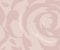wallpaper-close-shot-asian-paints-CP1241 wallpaper-close-shot-asian-paints-CP1241