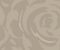 wallpaper-close-shot-asian-paints-CP1243 wallpaper-close-shot-asian-paints-CP1243