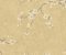 wallpaper-close-shot-asian-paints-HP0324 wallpaper-close-shot-asian-paints-HP0324