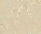 wallpaper-close-shot-asian-paints-HP0325 wallpaper-close-shot-asian-paints-HP0325