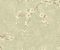 wallpaper-close-shot-asian-paints-HP0327 wallpaper-close-shot-asian-paints-HP0327