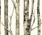 wallpaper-close-shot-asian-paints-LW5835LW wallpaper-close-shot-asian-paints-LW5835LW