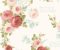 wallpaper-close-shot-asian-paints-MH1525 wallpaper-close-shot-asian-paints-MH1525