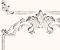 wallpaper-close-shot-asian-paints-MH1533 wallpaper-close-shot-asian-paints-MH1533