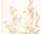 wallpaper-close-shot-asian-paints-MH1546 wallpaper-close-shot-asian-paints-MH1546