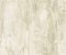 wallpaper-close-shot-asian-paints-NY4952 wallpaper-close-shot-asian-paints-NY4952