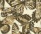 wallpaper-close-shot-asian-paints-RK4440 wallpaper-close-shot-asian-paints-RK4440