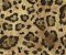 wallpaper-close-shot-asian-paints-RK4459 wallpaper-close-shot-asian-paints-RK4459
