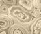wallpaper-close-shot-asian-paints-RK4509 wallpaper-close-shot-asian-paints-RK4509