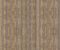 wallpaper-close-shot-asian-paints-RRD7219N wallpaper-close-shot-asian-paints-RRD7219N