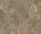 wallpaper-close-shot-asian-paints-TD4719 wallpaper-close-shot-asian-paints-TD4719