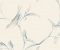 wallpaper-close-shot-asian-paints-VE7071 wallpaper-close-shot-asian-paints-VE7071