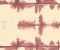 wallpaper-close-shot-asian-paints-W056D318S75 wallpaper-close-shot-asian-paints-W056D318S75