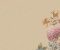 wallpaper-close-shot-asian-paints-W109WI25S75 wallpaper-close-shot-asian-paints-W109WI25S75