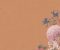 wallpaper-close-shot-asian-paints-W109WI27S75 wallpaper-close-shot-asian-paints-W109WI27S75