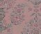 wallpaper-close-shot-asian-paints-W150Z683S75 wallpaper-close-shot-asian-paints-W150Z683S75