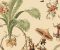 wallpaper-close-shot-asian-paints-WA7770 wallpaper-close-shot-asian-paints-WA7770