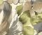 wallpaper-close-shot-asian-paints-WT4501 wallpaper-close-shot-asian-paints-WT4501