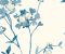 wallpaper-close-shot-asian-paints-WT4537 wallpaper-close-shot-asian-paints-WT4537