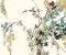 wallpaper-close-shot-asian-paints-WT4557 wallpaper-close-shot-asian-paints-WT4557