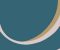 wallpaper-close-shot-asian-paints-Y6200102 wallpaper-close-shot-asian-paints-Y6200102