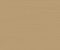 wallpaper-close-shot-asian-paints-Y6200910 wallpaper-close-shot-asian-paints-Y6200910
