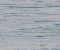 wallpaper-close-shot-asian-paints-Y6201603 wallpaper-close-shot-asian-paints-Y6201603