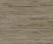 wallpaper-close-shot-asian-paints-Y6201604 wallpaper-close-shot-asian-paints-Y6201604