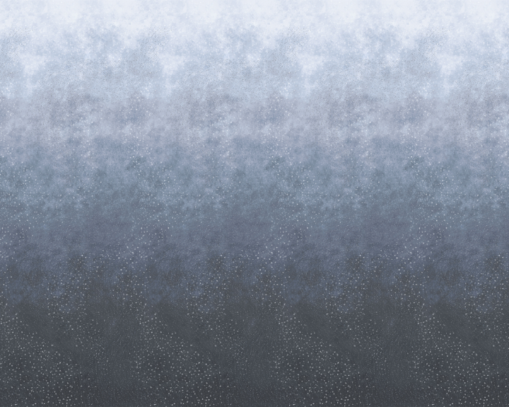 W275FL12N75