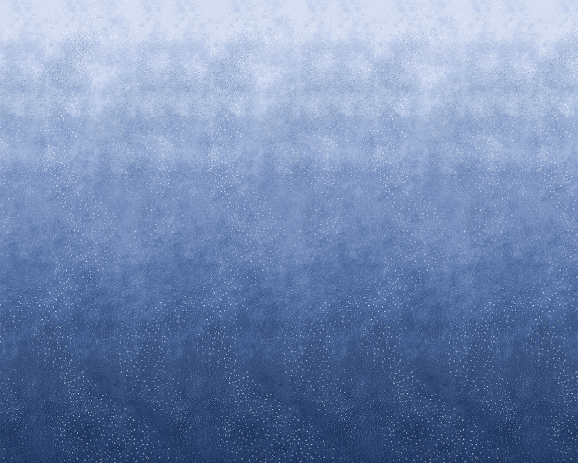 W275FL13N75