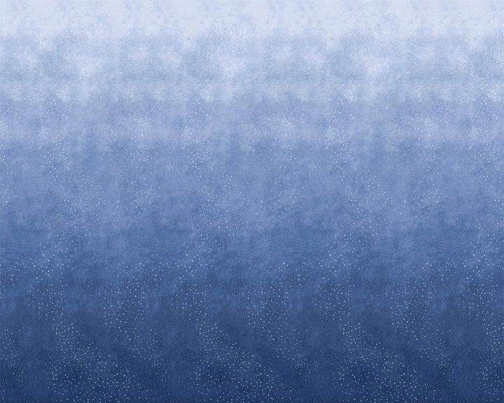 W275FL13N75