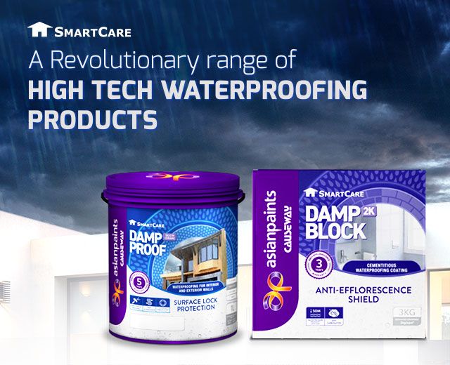 SmartCare Damp Block 2K Asian Paints Sri Lanka