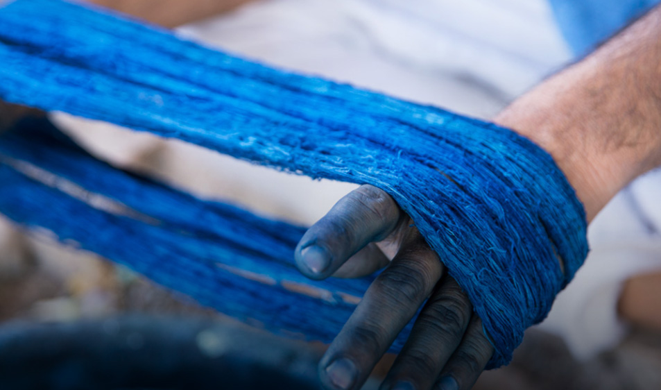 In Search of Indigo In Search of Indigo