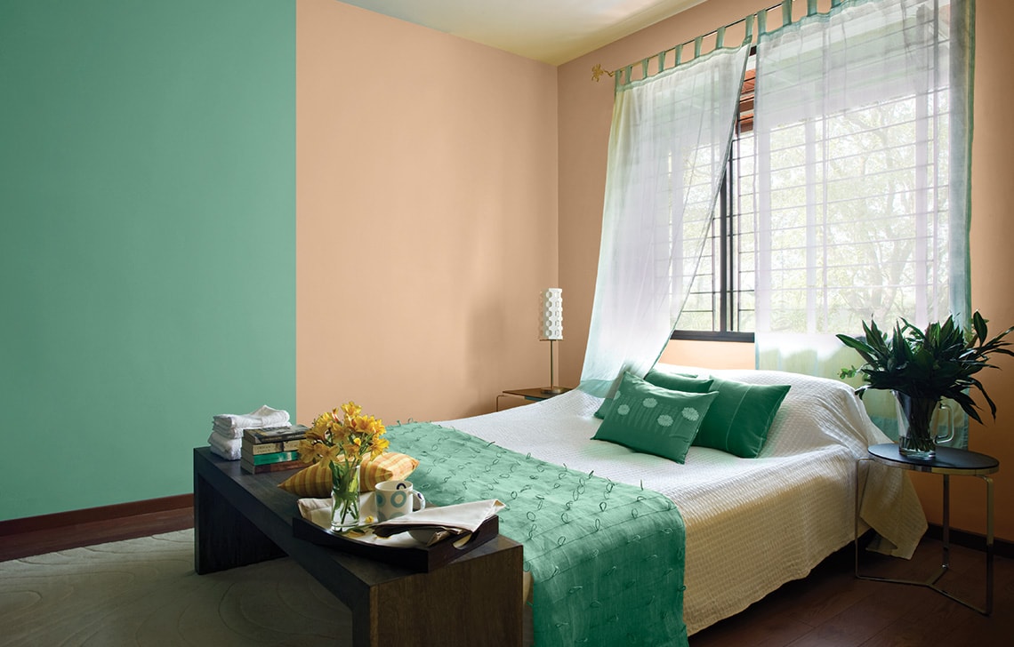 Home Decor Ideas Designs To Inspire You Asian Paints Mould Can Cause Allergies Irritation Runny Noses Dermais And It Aggravate Respiratory Conditions Like Asthma As Well