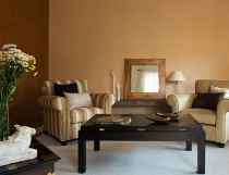Royale Play Special Effects From Asian Paints Gallery
