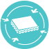 plaster protection