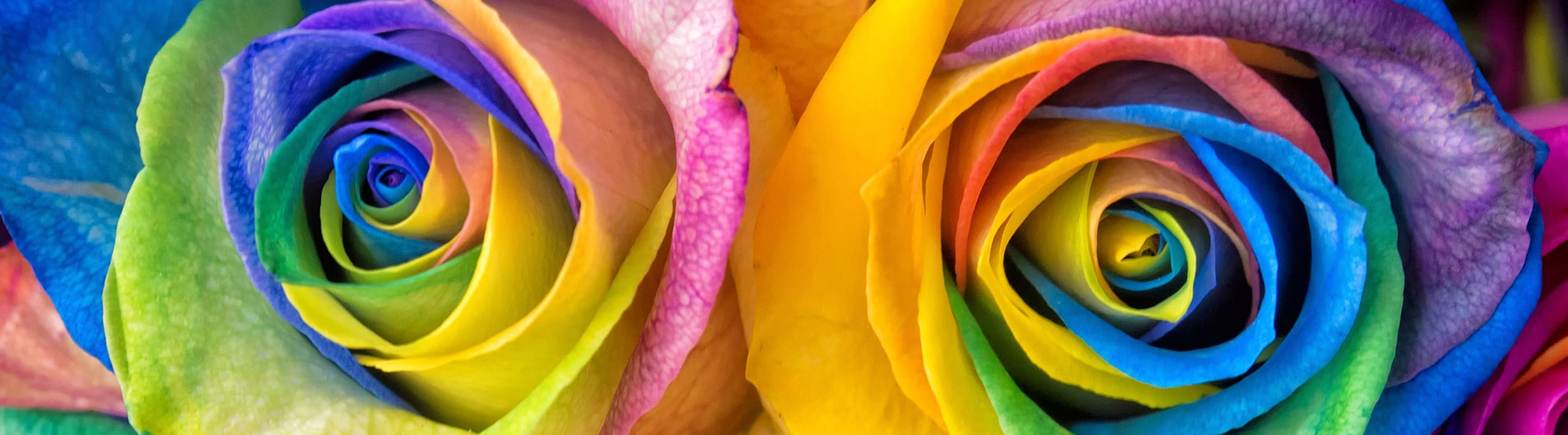 all about colour